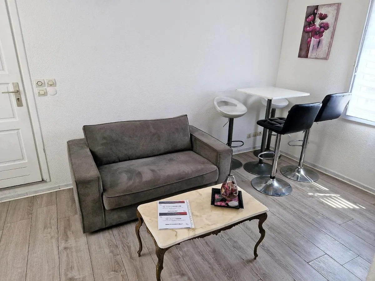 Plein Centre Appartement Climatise Et Spacieux Avec Grande Terrasse Sur Le Toit A Nice Apartment