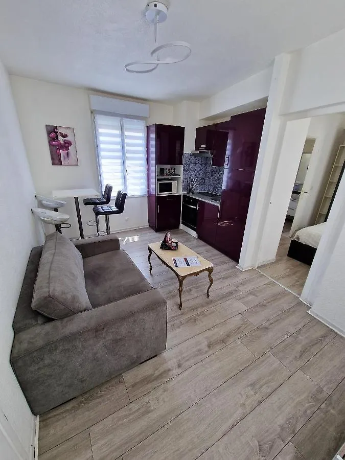 Plein Centre Appartement Climatise Et Spacieux Avec Grande Terrasse Sur Le Toit A Nice