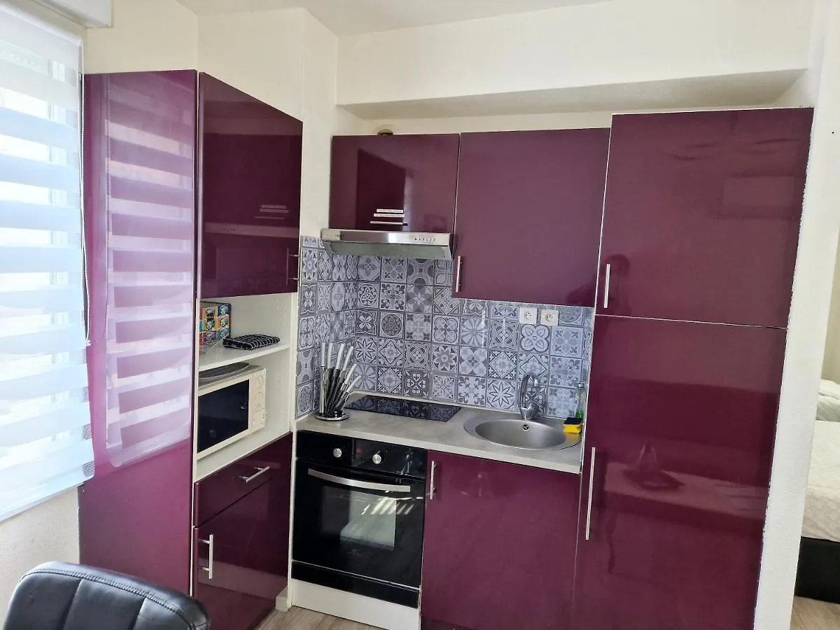 Apartment Plein Centre Appartement Climatise Et Spacieux Avec Grande Terrasse Sur Le Toit A Nice France
